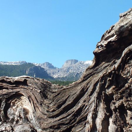 Calar De La Sima Villa Yeste Exteriör bild