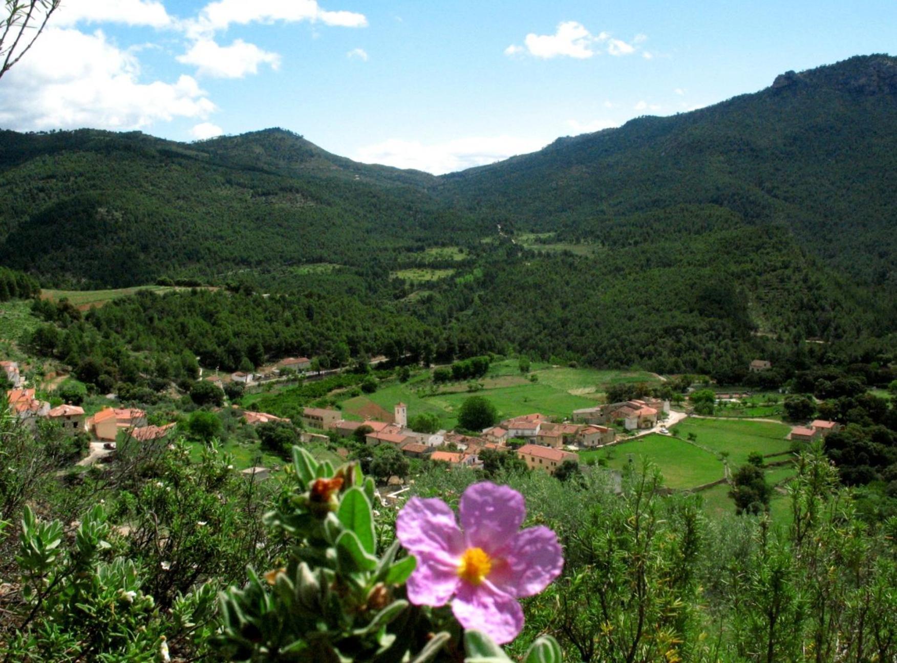 Calar De La Sima Villa Yeste Exteriör bild
